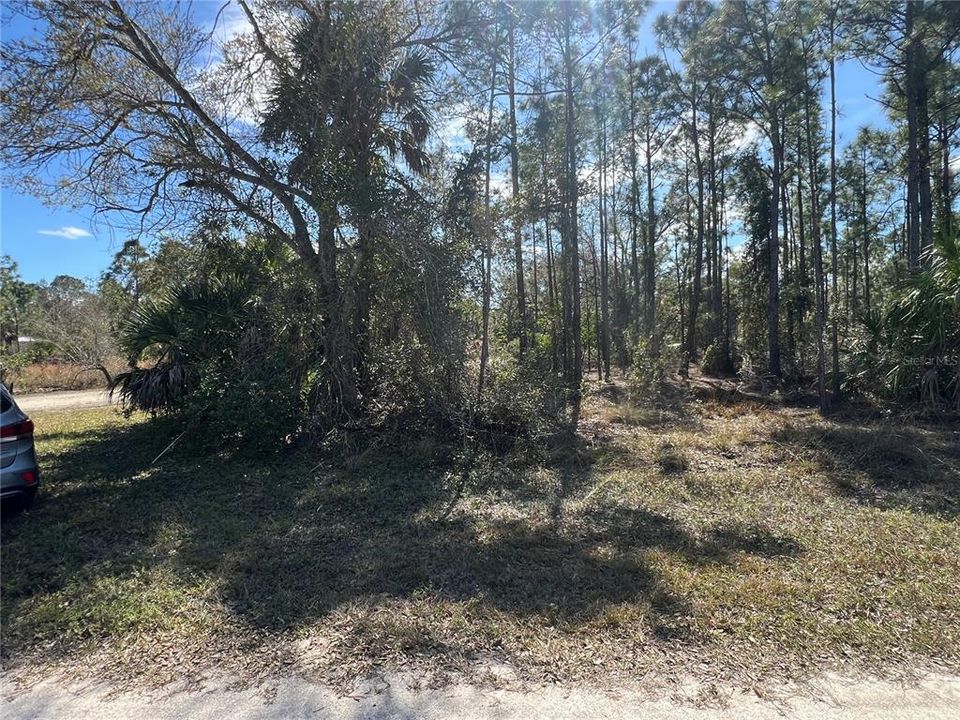 На продажу: $19,990 (0.17 acres)