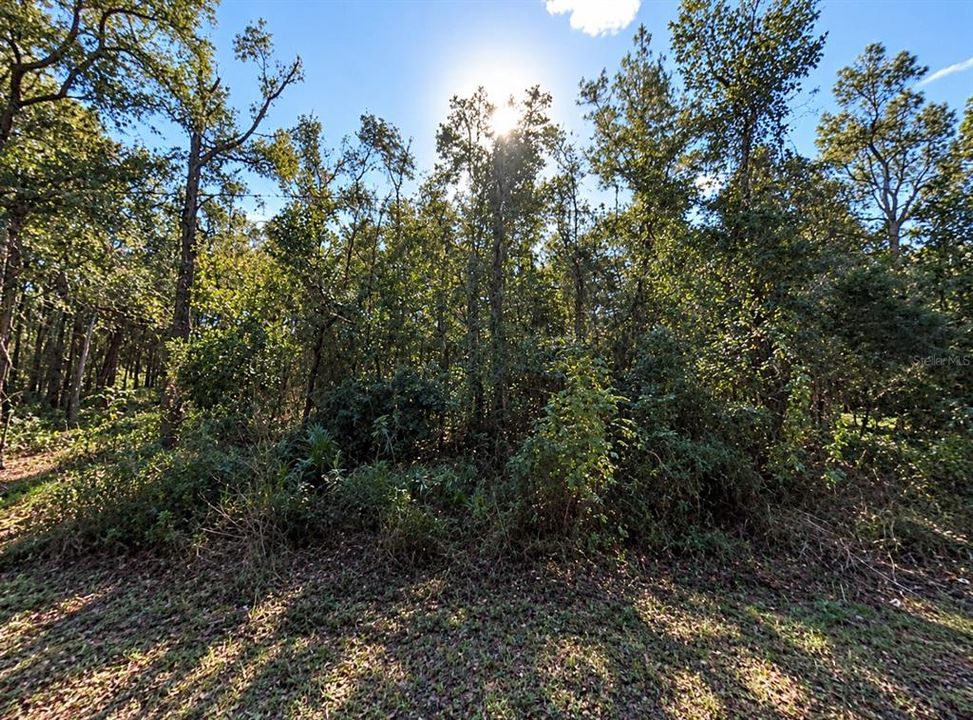 For Sale: $17,000 (0.23 acres)