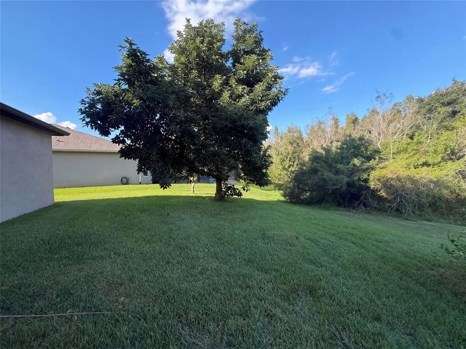 For Sale: $585,000 (5 beds, 4 baths, 3892 Square Feet)