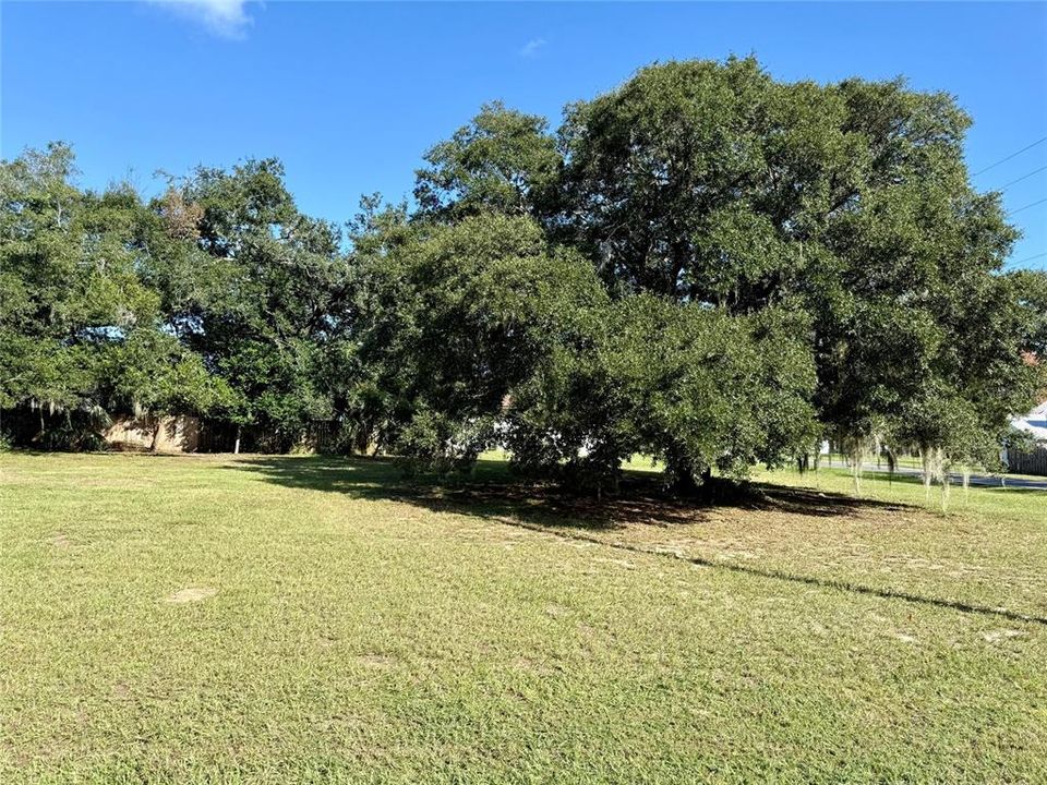 For Sale: $95,000 (0.31 acres)