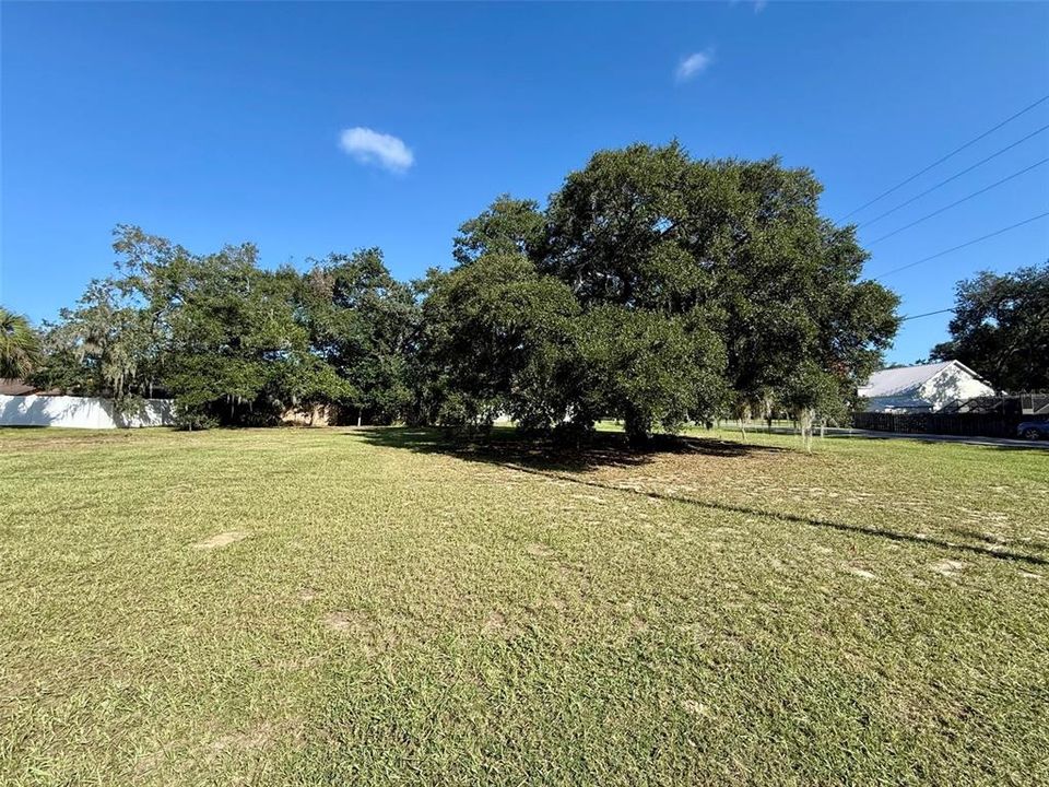 For Sale: $95,000 (0.31 acres)