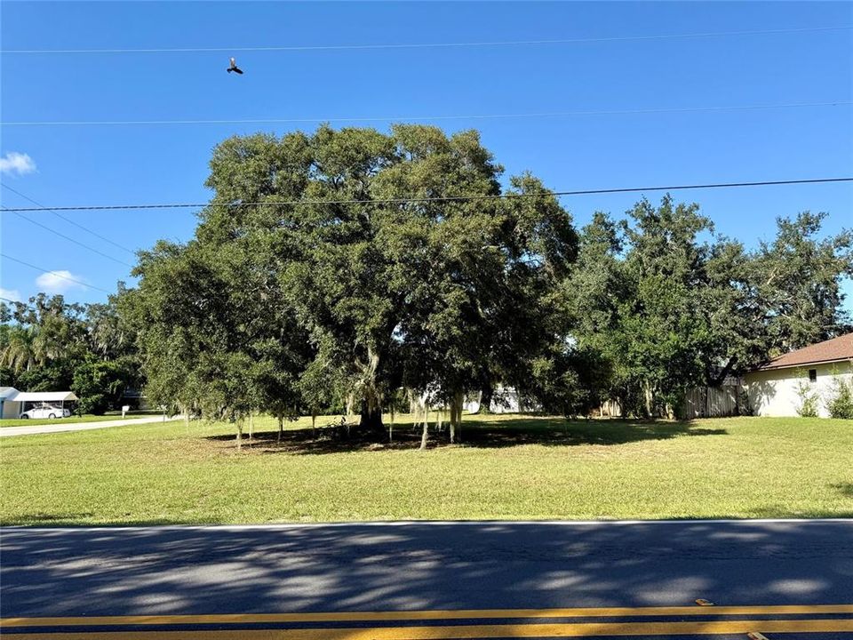 For Sale: $95,000 (0.31 acres)