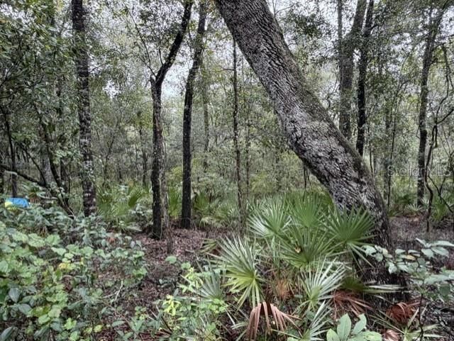 На продажу: $89,900 (1.02 acres)