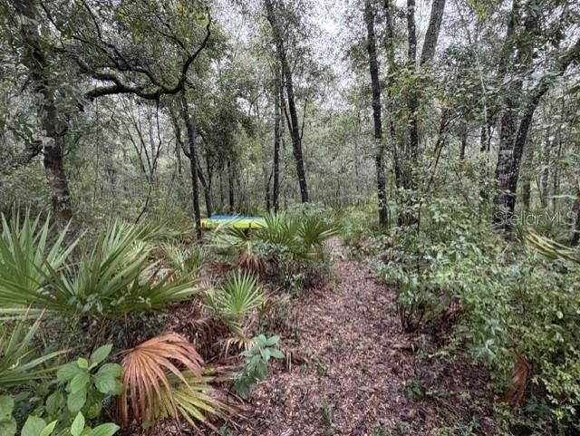 На продажу: $89,900 (1.02 acres)