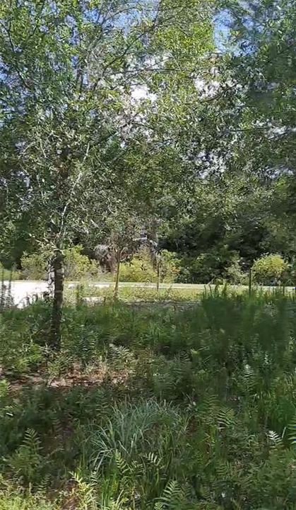На продажу: $50,000 (1.25 acres)