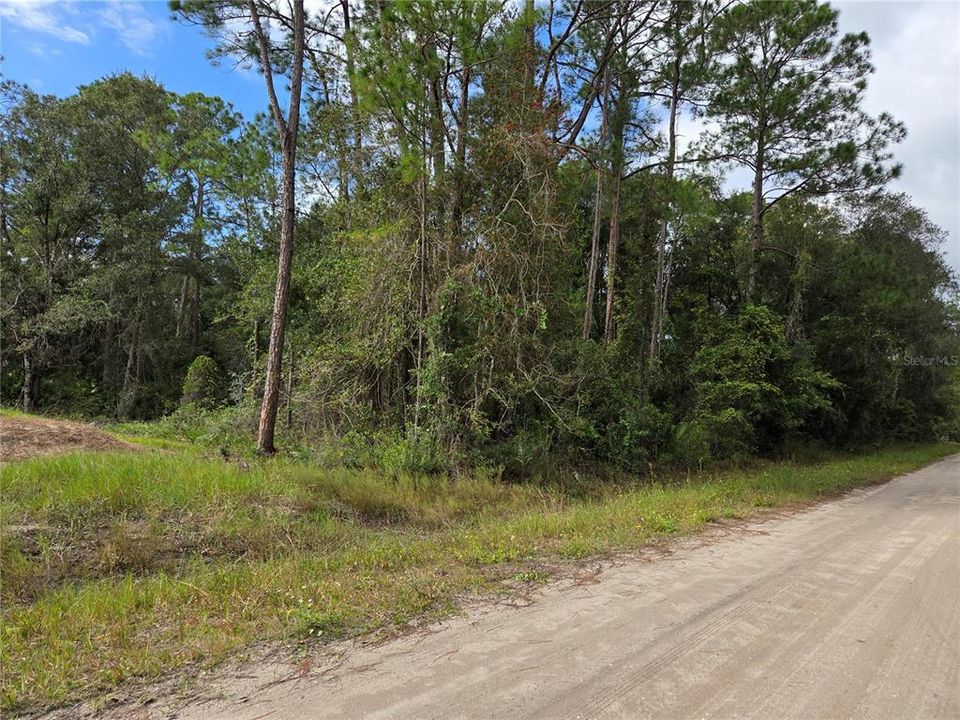 待售: $35,000 (1.14 acres)