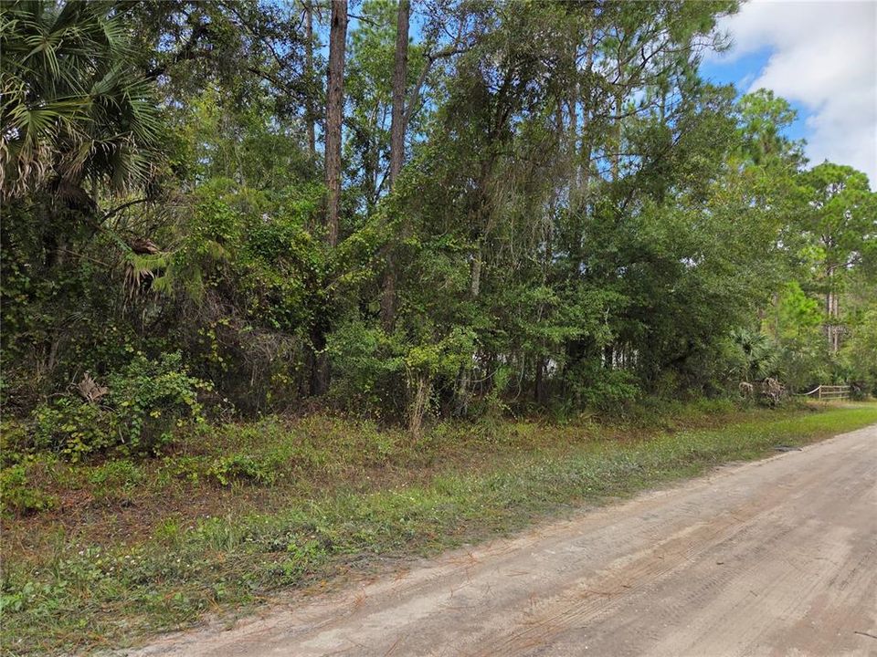待售: $35,000 (1.14 acres)