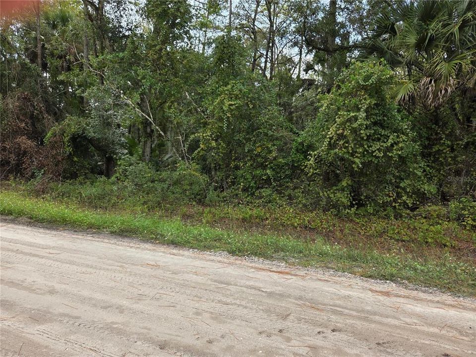 待售: $35,000 (1.14 acres)