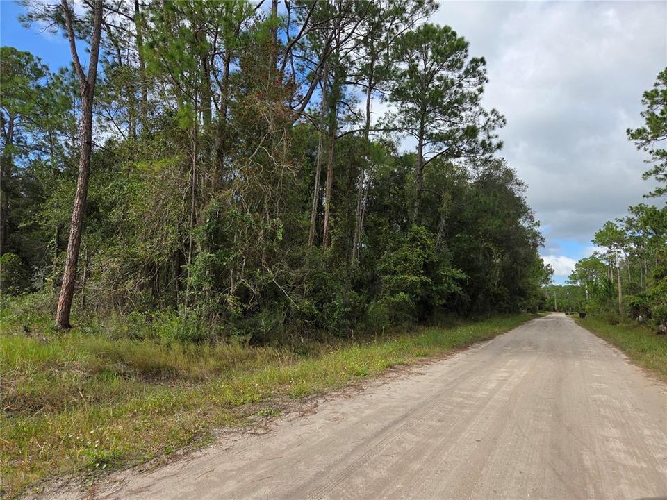 待售: $35,000 (1.14 acres)