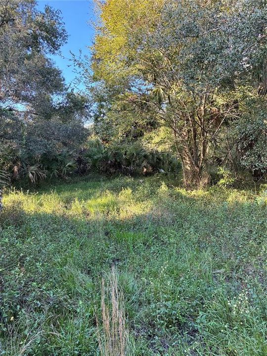 En Venta: $549,000 (22.36 acres)