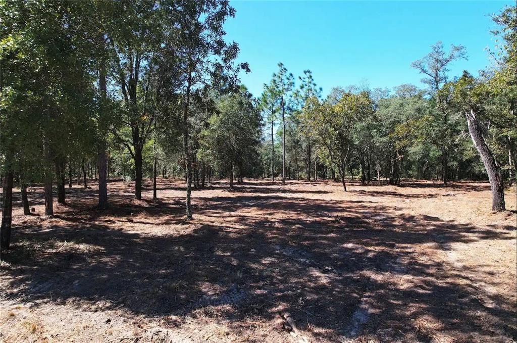 En Venta: $54,000 (2.51 acres)