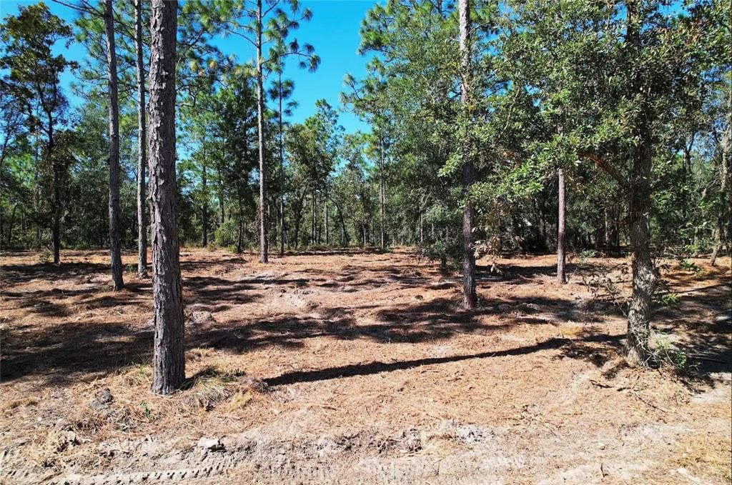 En Venta: $54,000 (2.51 acres)