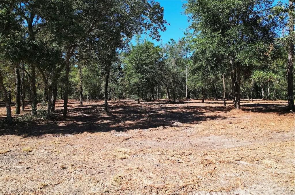 En Venta: $54,000 (2.51 acres)