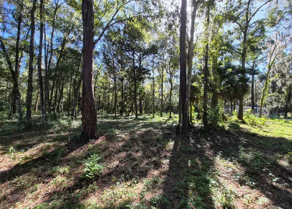 En Venta: $28,000 (0.25 acres)