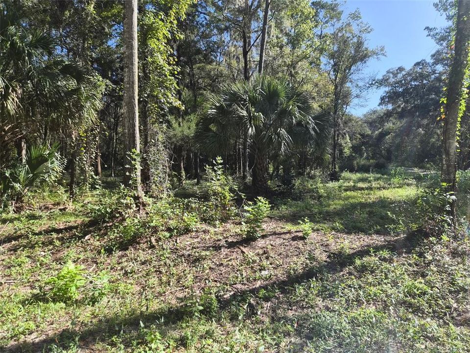 En Venta: $28,000 (0.25 acres)