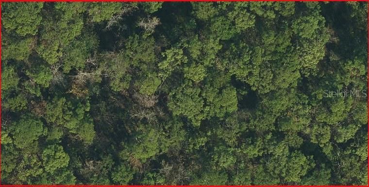 For Sale: $19,000 (1.24 acres)