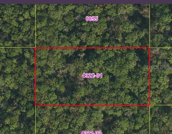 For Sale: $19,000 (1.24 acres)