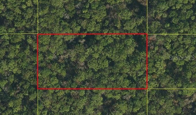 For Sale: $19,000 (1.24 acres)