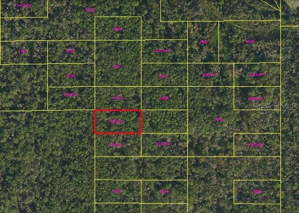 For Sale: $19,000 (1.24 acres)