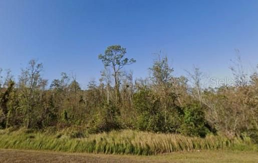 For Sale: $19,000 (1.24 acres)