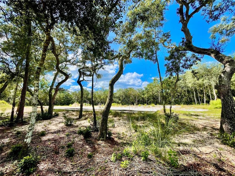 For Sale: $175,000 (0.87 acres)