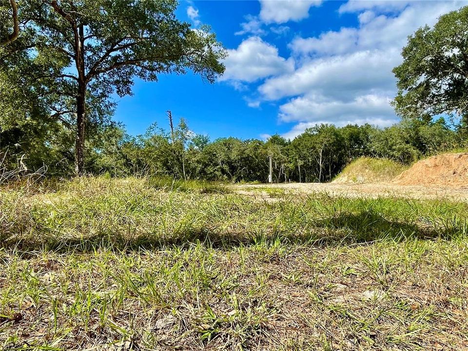 For Sale: $175,000 (0.87 acres)