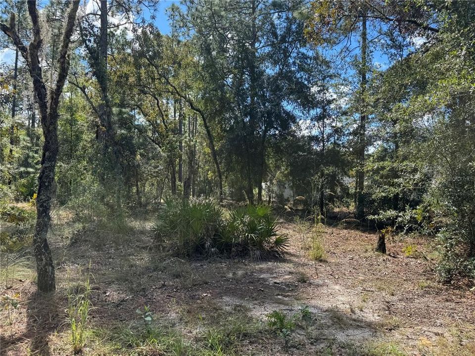 En Venta: $24,500 (0.24 acres)