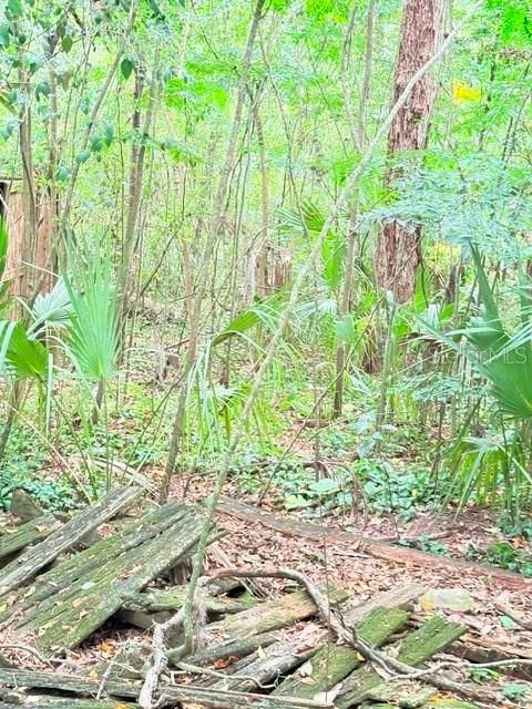 待售: $50,000 (2 贝兹, 1 浴室, 702 平方英尺)