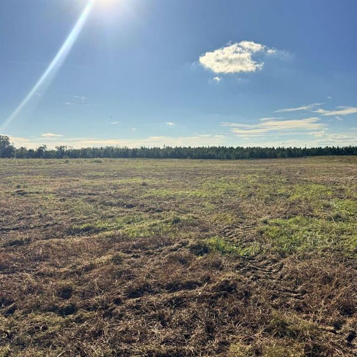 En Venta: $119,900 (9.01 acres)