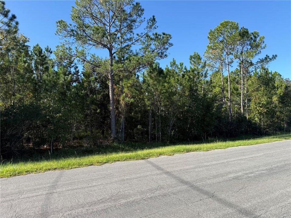 For Sale: $165,000 (1.03 acres)