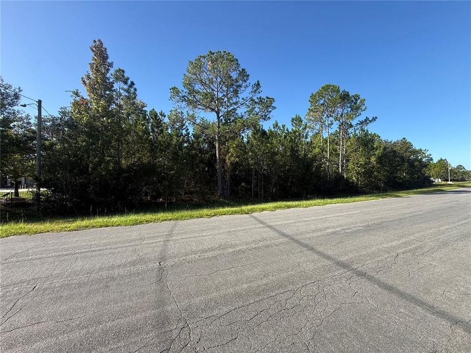 For Sale: $165,000 (1.03 acres)