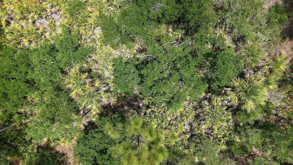 На продажу: $15,999 (0.23 acres)