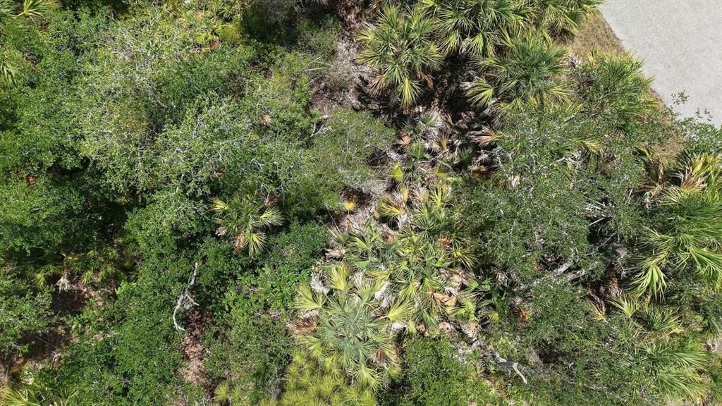 На продажу: $15,999 (0.23 acres)