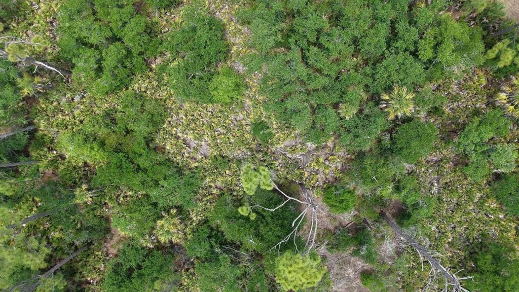 На продажу: $15,999 (0.23 acres)