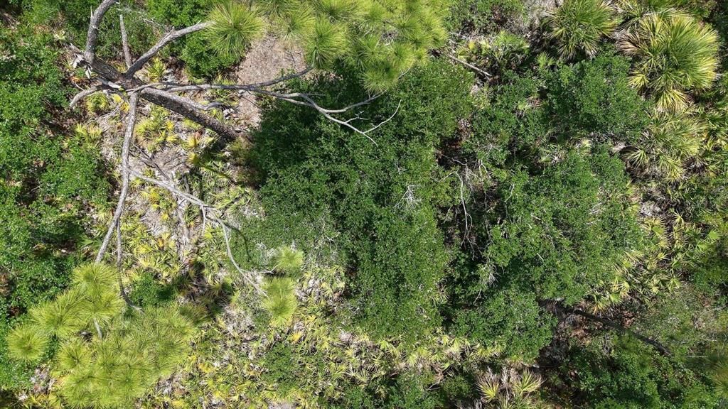 На продажу: $15,999 (0.23 acres)