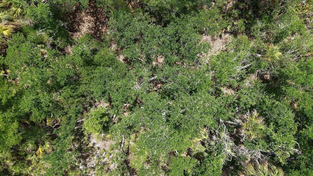 На продажу: $15,999 (0.23 acres)