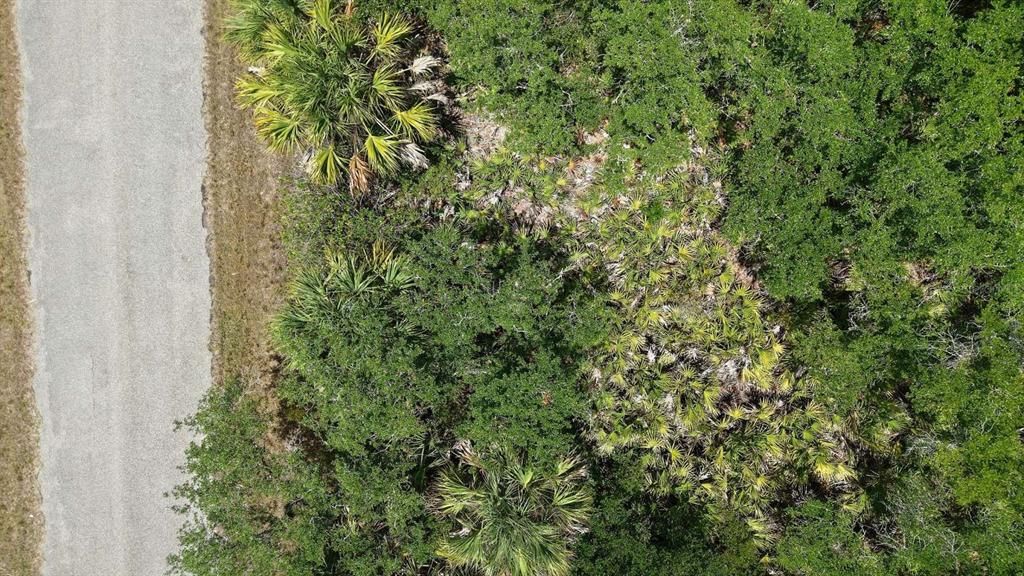 На продажу: $17,999 (0.23 acres)