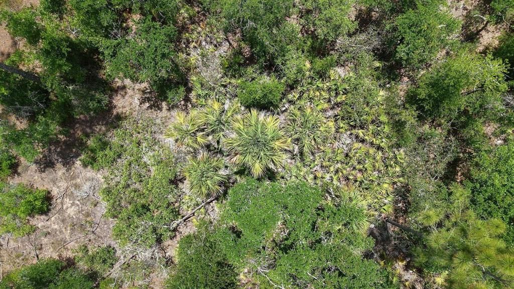На продажу: $17,999 (0.23 acres)