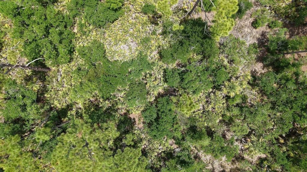 На продажу: $17,999 (0.23 acres)