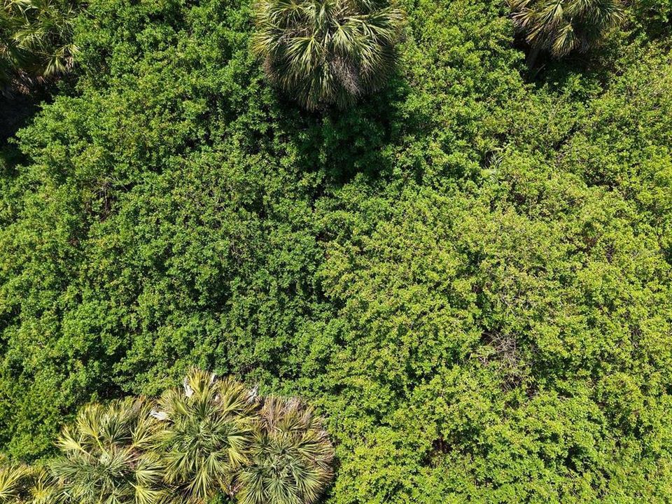 На продажу: $19,999 (0.23 acres)