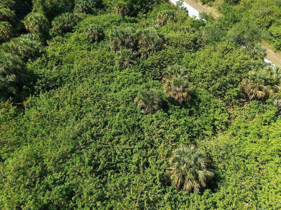 На продажу: $19,999 (0.23 acres)