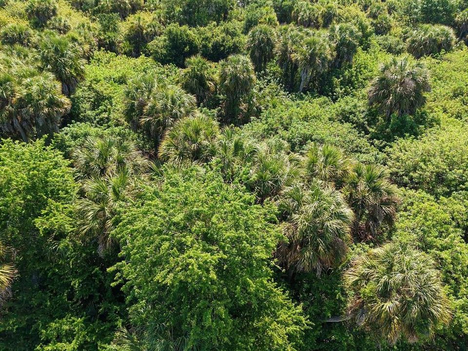 На продажу: $19,999 (0.23 acres)