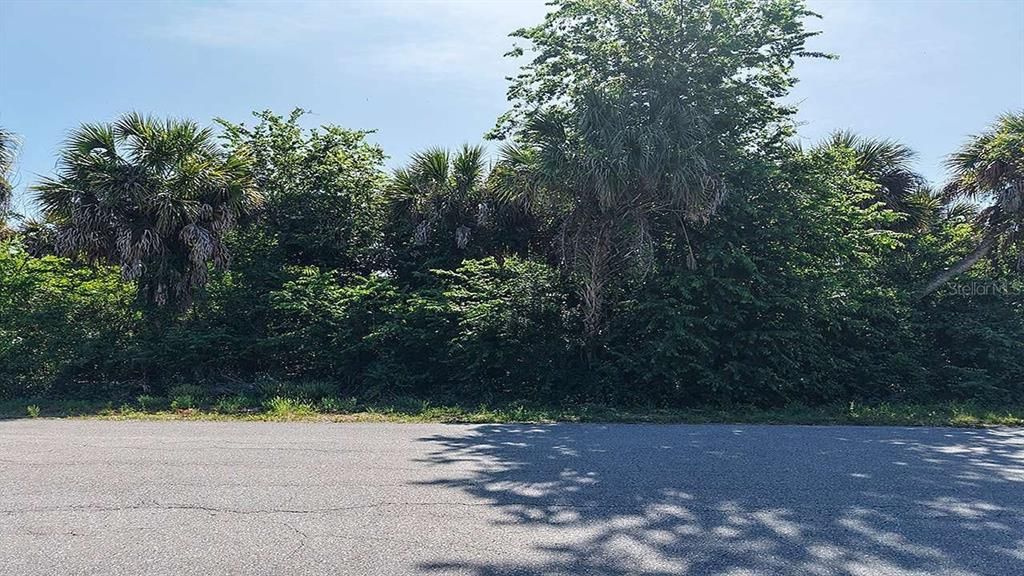 На продажу: $19,999 (0.23 acres)