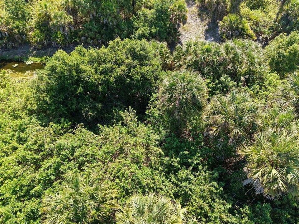На продажу: $19,999 (0.23 acres)