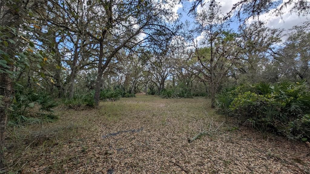 待售: $2,694,500 (317.09 acres)
