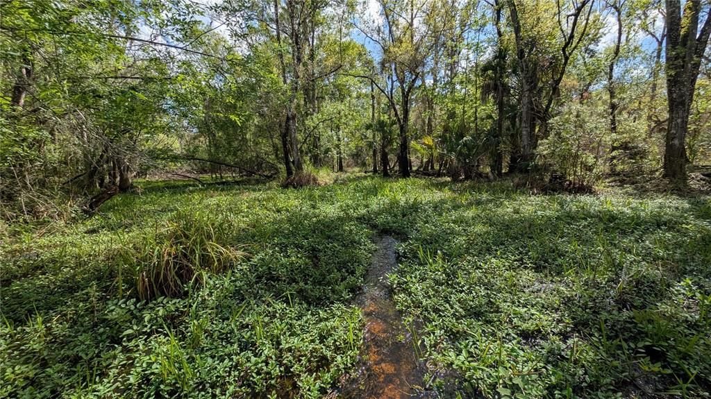 待售: $2,694,500 (317.09 acres)