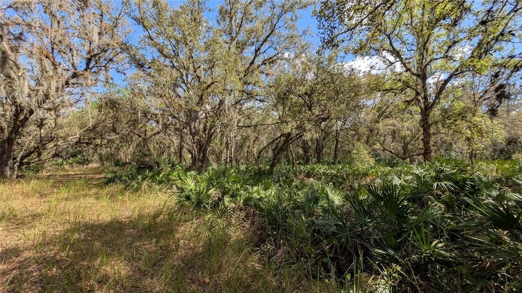 待售: $2,694,500 (317.09 acres)