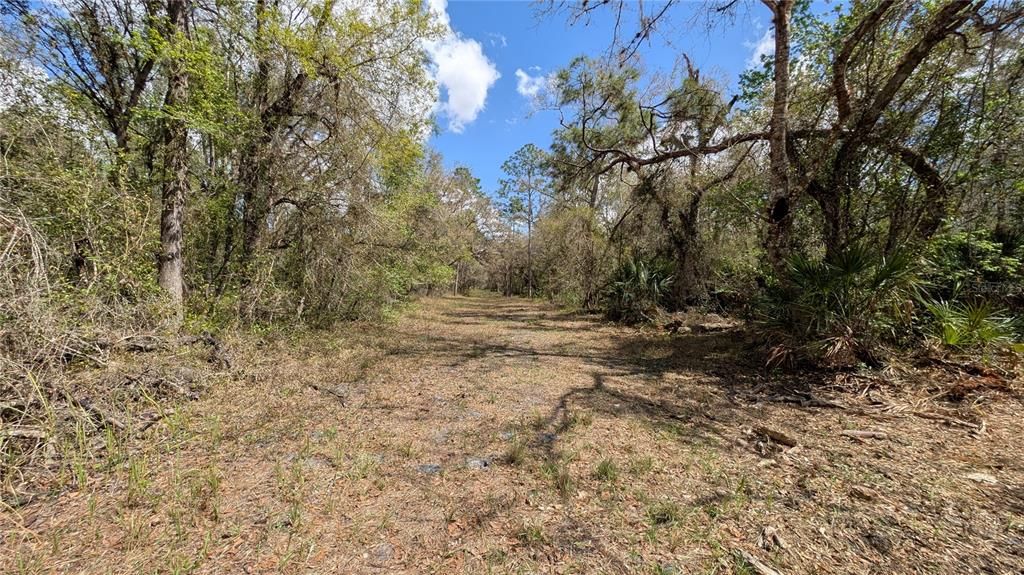 待售: $2,694,500 (317.09 acres)