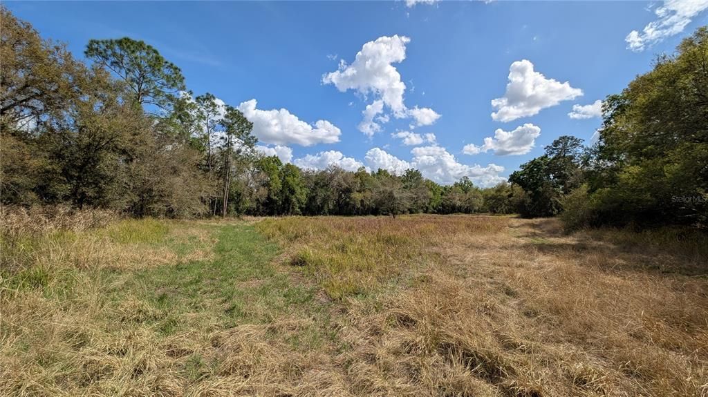 待售: $2,694,500 (317.09 acres)