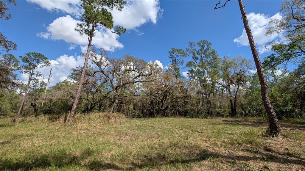 待售: $2,694,500 (317.09 acres)